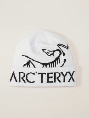 Arcteryx Beanie (4 seasons ago)